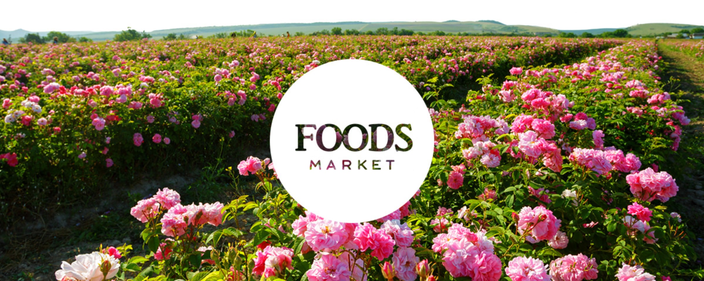 foods market logo