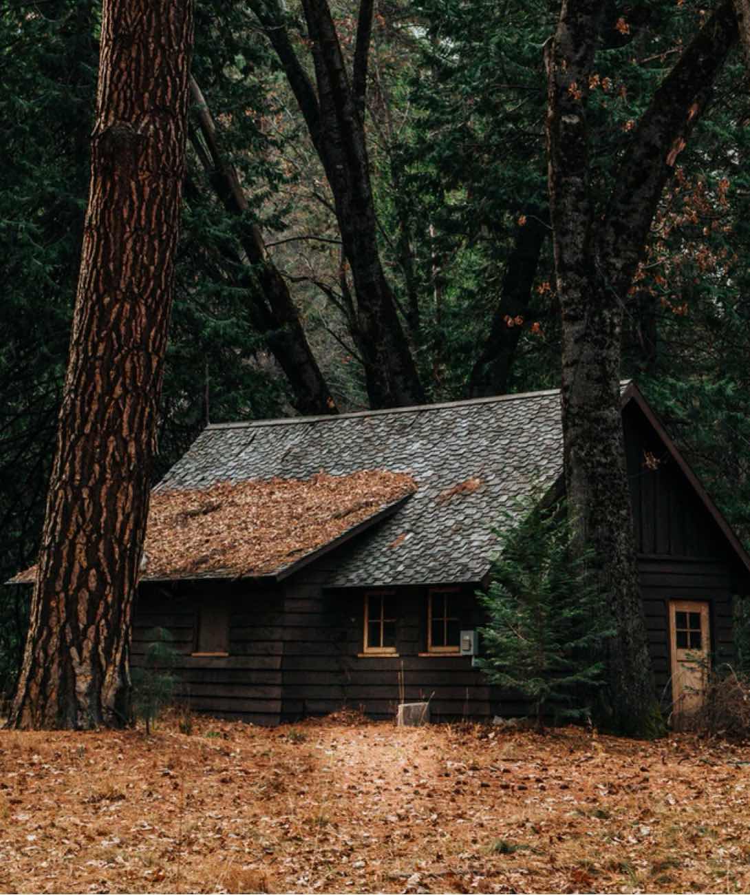 cabin home in the fall